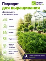 Семена зелени: укроп Аллигатор 5 шт по 1 г набор — фото 3