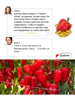 Семена перца Боярин толстостенного — набор 2 пакета — фото 4