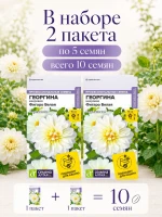 Георгина Фигаро Белая махровая семена цветов 2 пак по 5 шт — фото 2