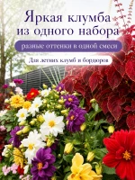 Семена георгины Фигаро Смесь махровые карликовые 2 пак по 5 — фото 2