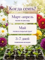 Семена георгины Фигаро Смесь махровые карликовые 2 пак по 5 — фото 6