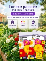 Семена георгины Фигаро Смесь махровые карликовые 2 пак по 5 — фото 8