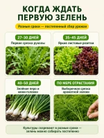 Набор семян зелени для огорода и подоконника — фото 3