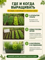 Набор семян зелени для огорода и подоконника — фото 4