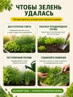 Набор семян зелени для огорода и подоконника — фото 5