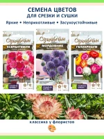 Набор семян сухоцветов для зимних букетов и украшения сада — фото 1