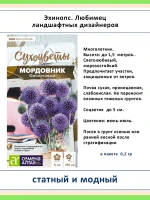 Набор семян сухоцветов для зимних букетов и украшения сада — фото 4