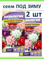 Семена цветов многолетников Аквилегия водосбор для тени 2 шт — фото 1
