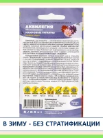 Семена цветов многолетников Аквилегия водосбор для тени 2 шт — фото 2