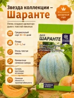 Набор семян дыни, 4 сладких сорта для теплицы и грунта — фото 3