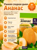 Набор семян дыни, 4 сладких сорта для теплицы и грунта — фото 4