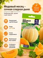 Набор семян дыни, 4 сладких сорта для теплицы и грунта — фото 6