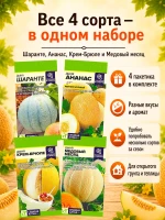 Набор семян дыни, 4 сладких сорта для теплицы и грунта — фото 7