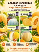 Набор семян дыни, 4 сладких сорта для теплицы и грунта — фото 8