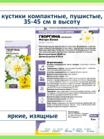 Набор семян цветов Георгина Фигаро карликовая махровая — фото 2