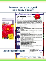 Набор семян цветов Георгина Фигаро карликовая махровая — фото 3