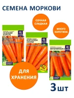 Семена моркови Королева Осени, Витаминная 6, Осенний Король — фото 1