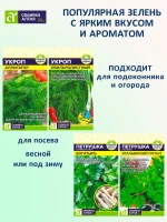 Семена укропа и петрушки — набор 4 сорта — фото 1