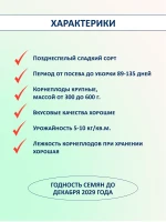 Семена свеклы Одноростковая сладкая без прореживания 2 шт — фото 2