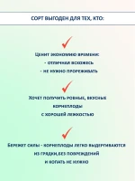 Семена свеклы Одноростковая сладкая без прореживания 2 шт — фото 3