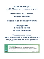 Семена томатов биф крупноплодные индетерминантные 3 шт — фото 5