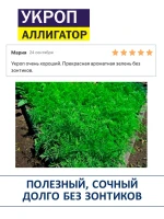 Семена укропа Аллигатор кустовой набор 2 пачки — фото 3