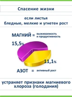 Магниевая селитра удобрение 1 кг, весна лето, буйское — фото 2