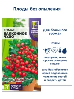 Набор семена для подоконника: томат и базилик фиолетовый — фото 4