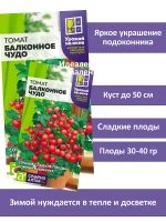 Семена томата Балконное чудо — урожай на окне — фото 2