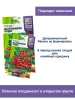 Семена томата Балконное чудо — урожай на окне — фото 3