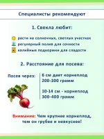 Набор семян свеклы для посадки, 5 сортов: сладкая, лежкая — фото 7