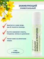 Набор бальзамов для губ: ягодный комплексный уход , 5 шт — фото 6