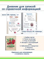 Блокнот садовода о томатах Карелиной — фото 2