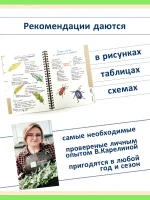 Блокнот садовода о томатах Карелиной — фото 3