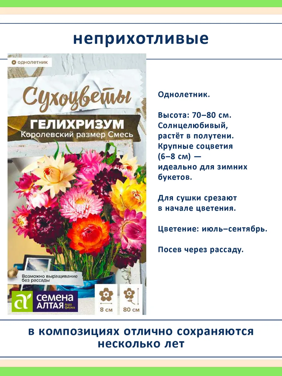 Набор семян сухоцветов — 7 видов для зимних букетов и сада