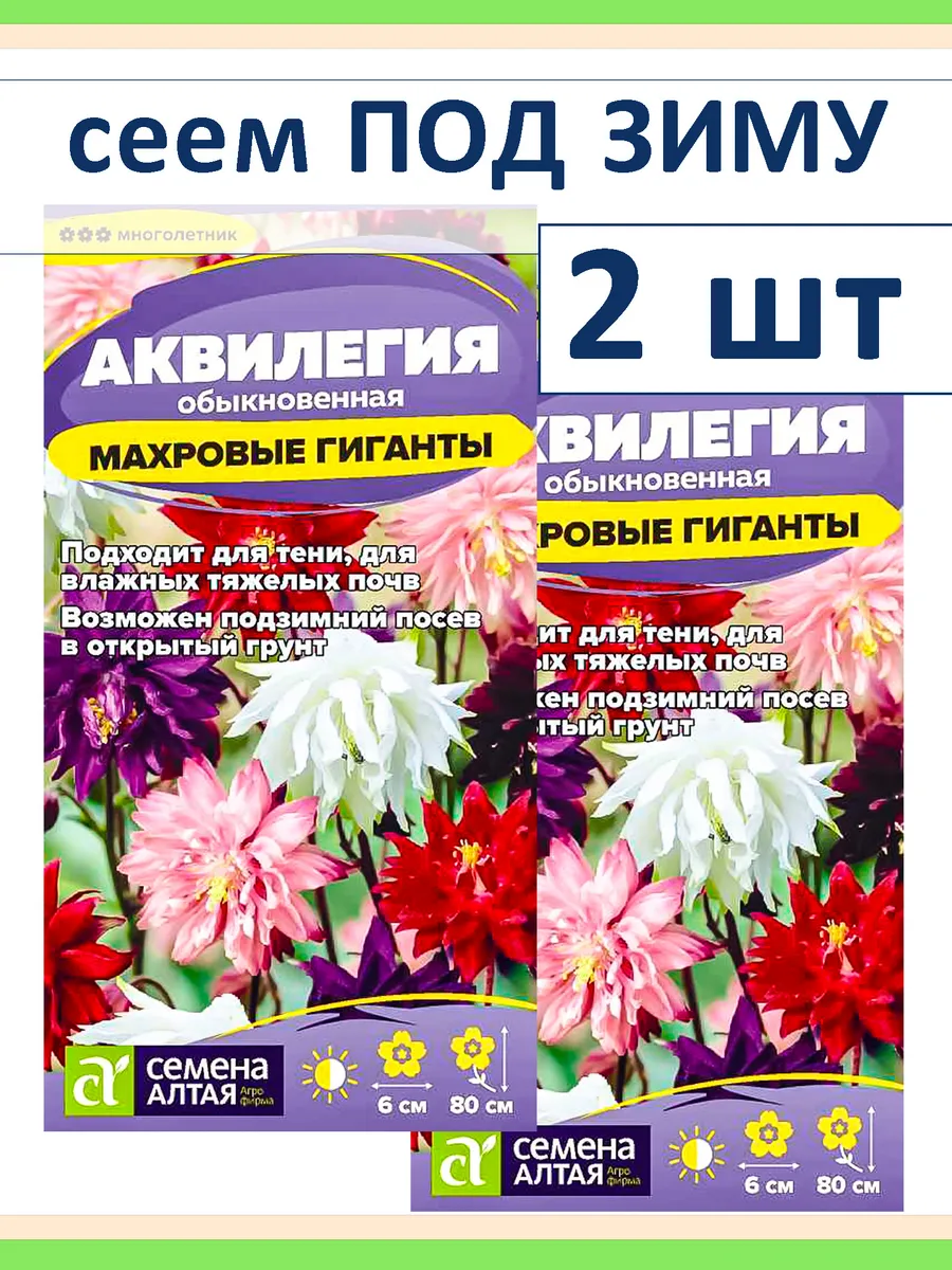 Семена цветов многолетников Аквилегия водосбор для тени 2 шт