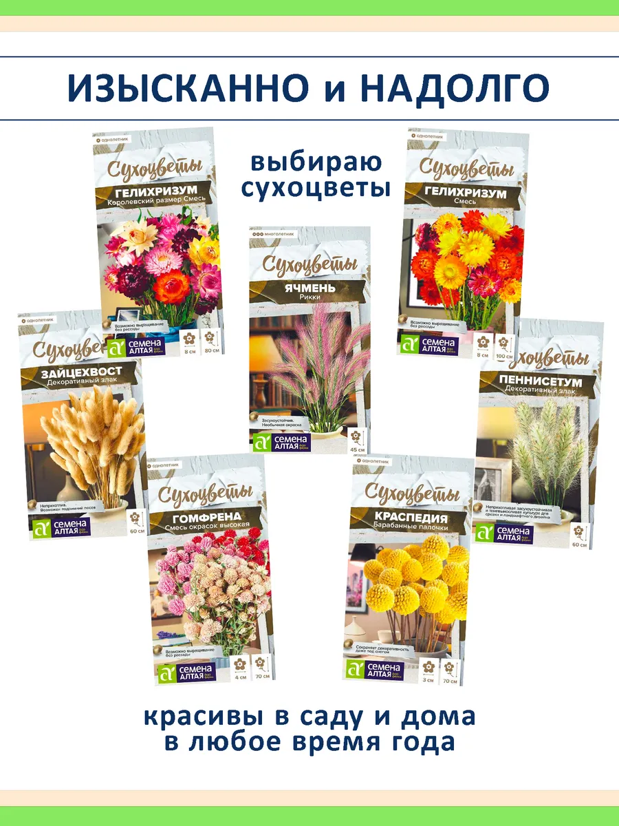 Набор семян сухоцветов — 7 видов для зимних букетов и сада
