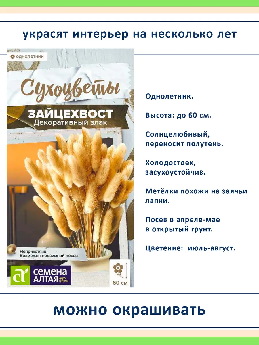 Набор семян сухоцветов, декоративных злаков — 3 вида