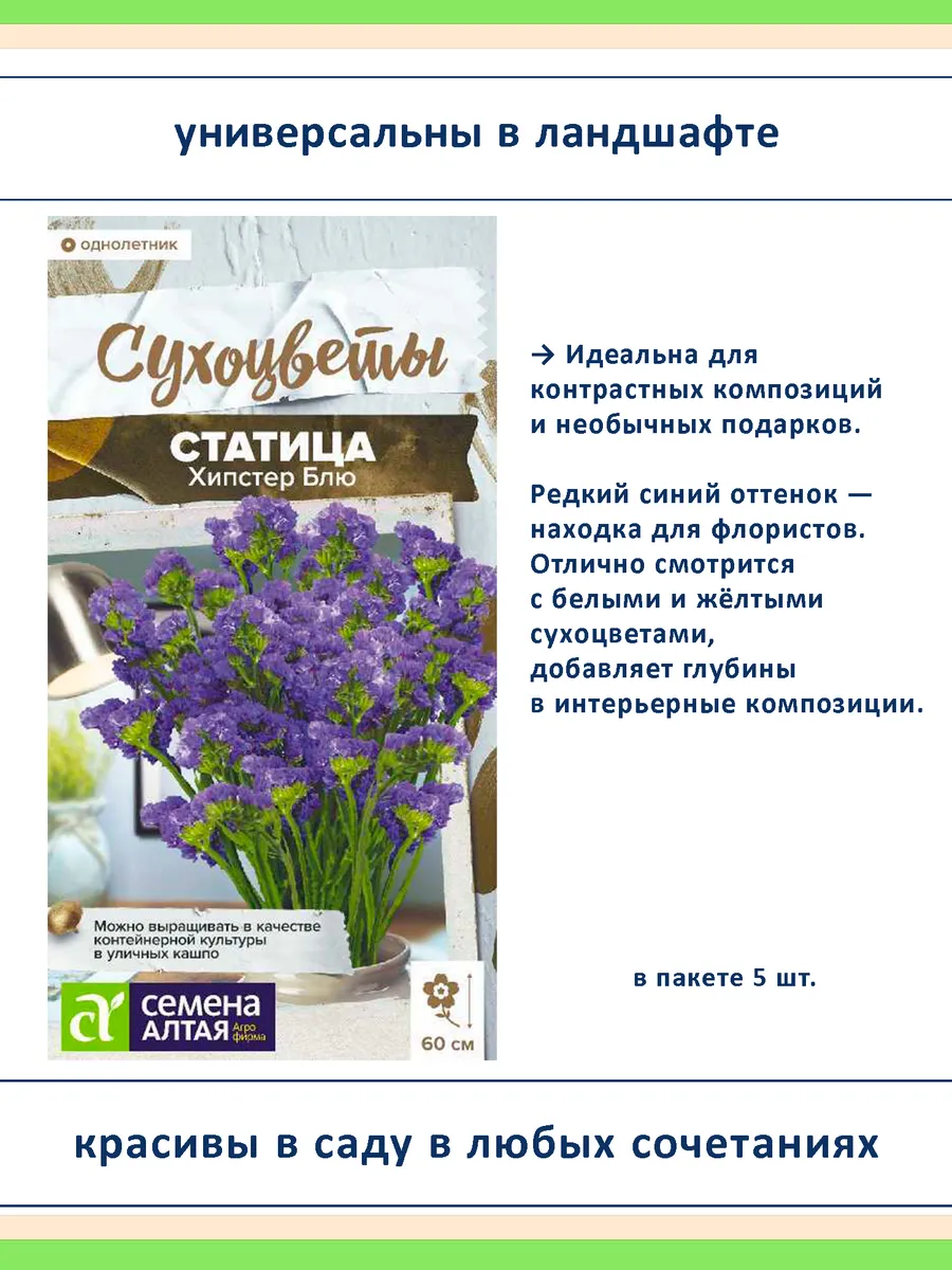 Семена сухоцветов статица 5 сортов — для дачи и флористики