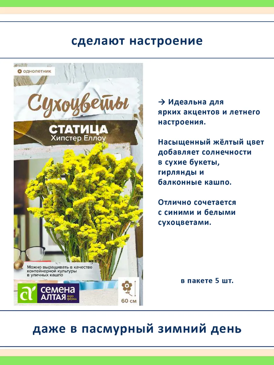 Семена сухоцветов статица 5 сортов — для дачи и флористики