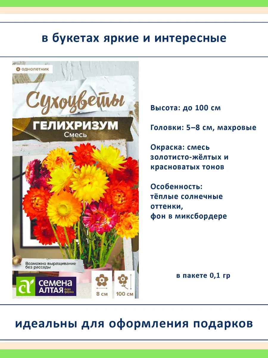 Набор семян сухоцветов гелихризум ксерантемум - 4 шт