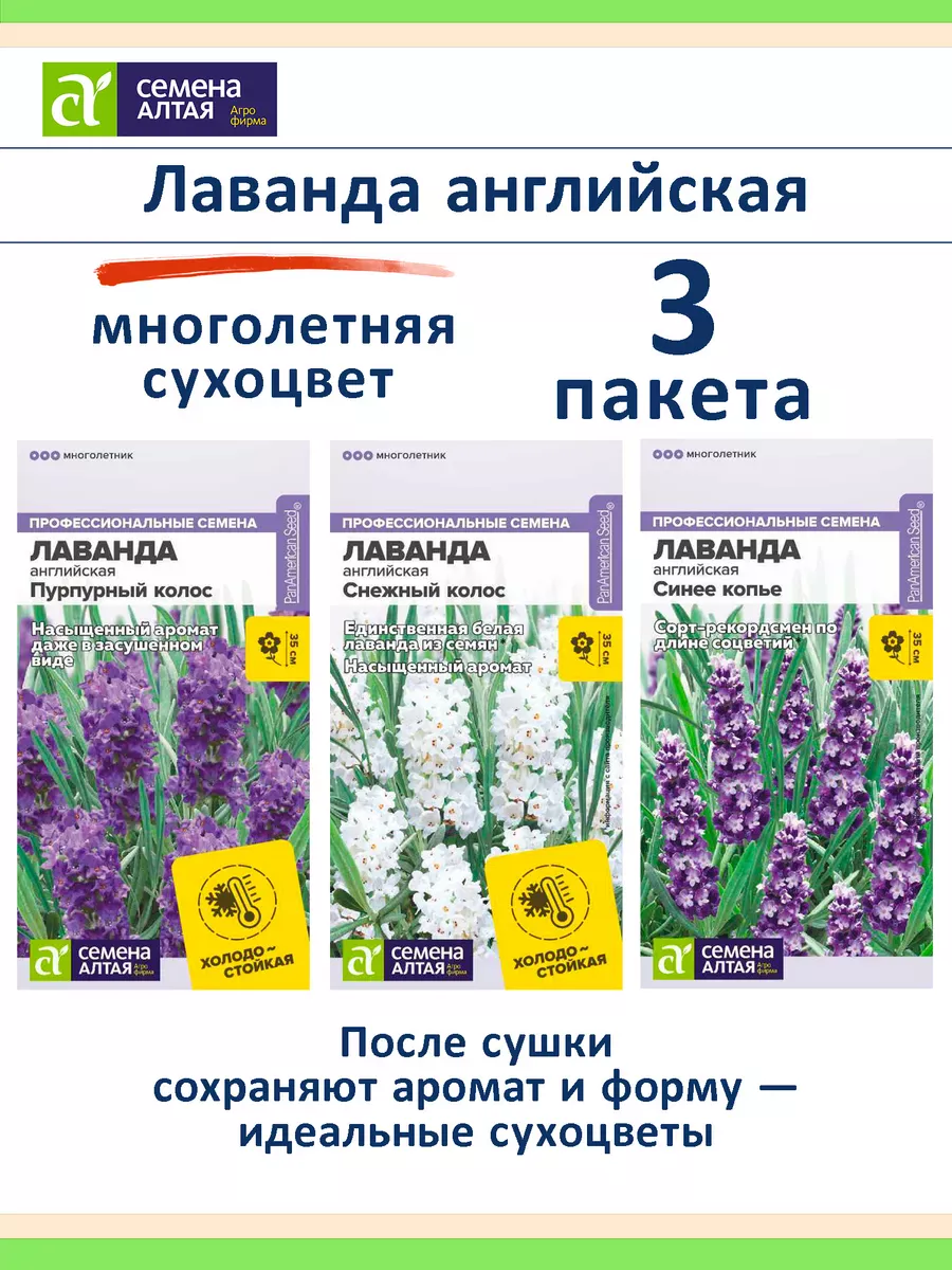 Семена лаванды 3 шт Снежный и Пурпурный колос, Синее копье