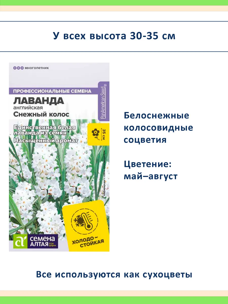 Семена лаванды 3 шт Снежный и Пурпурный колос, Синее копье