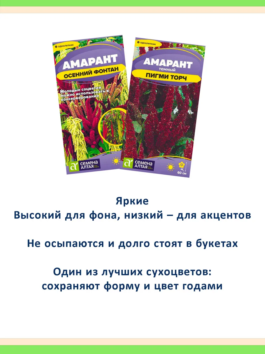Семена амаранта Осенний Фонтан и Пигми Торч — 2 пакета
