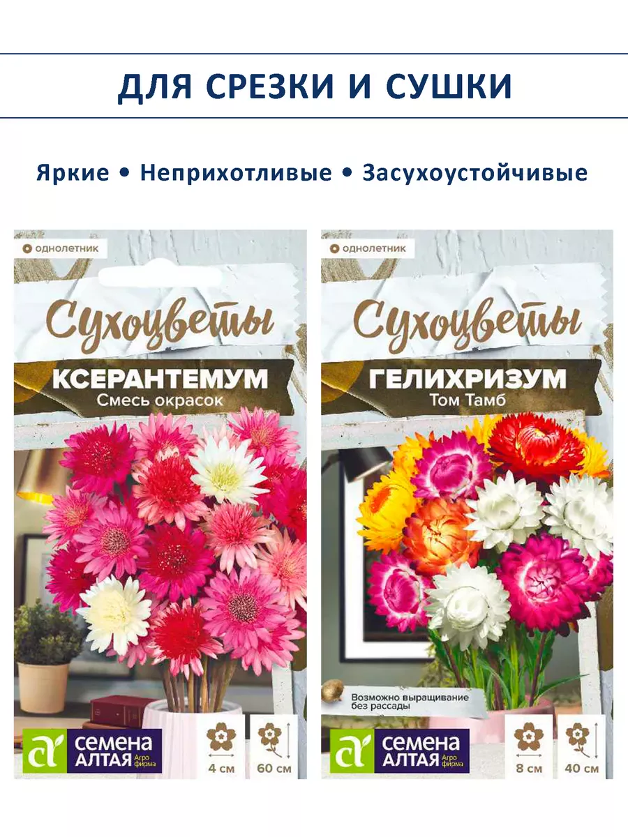 Набор семян сухоцветов гелихризум ксерантемум - 2 шт