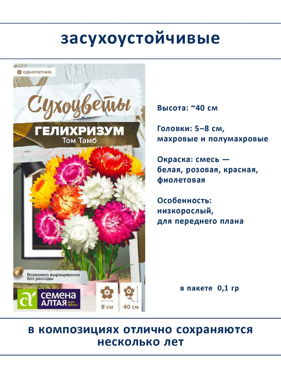 Набор семян сухоцветов гелихризум ксерантемум - 2 шт