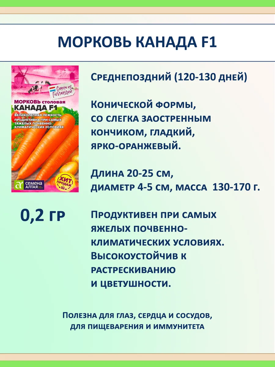 Семена овощей из Голландии, набор 4 шт