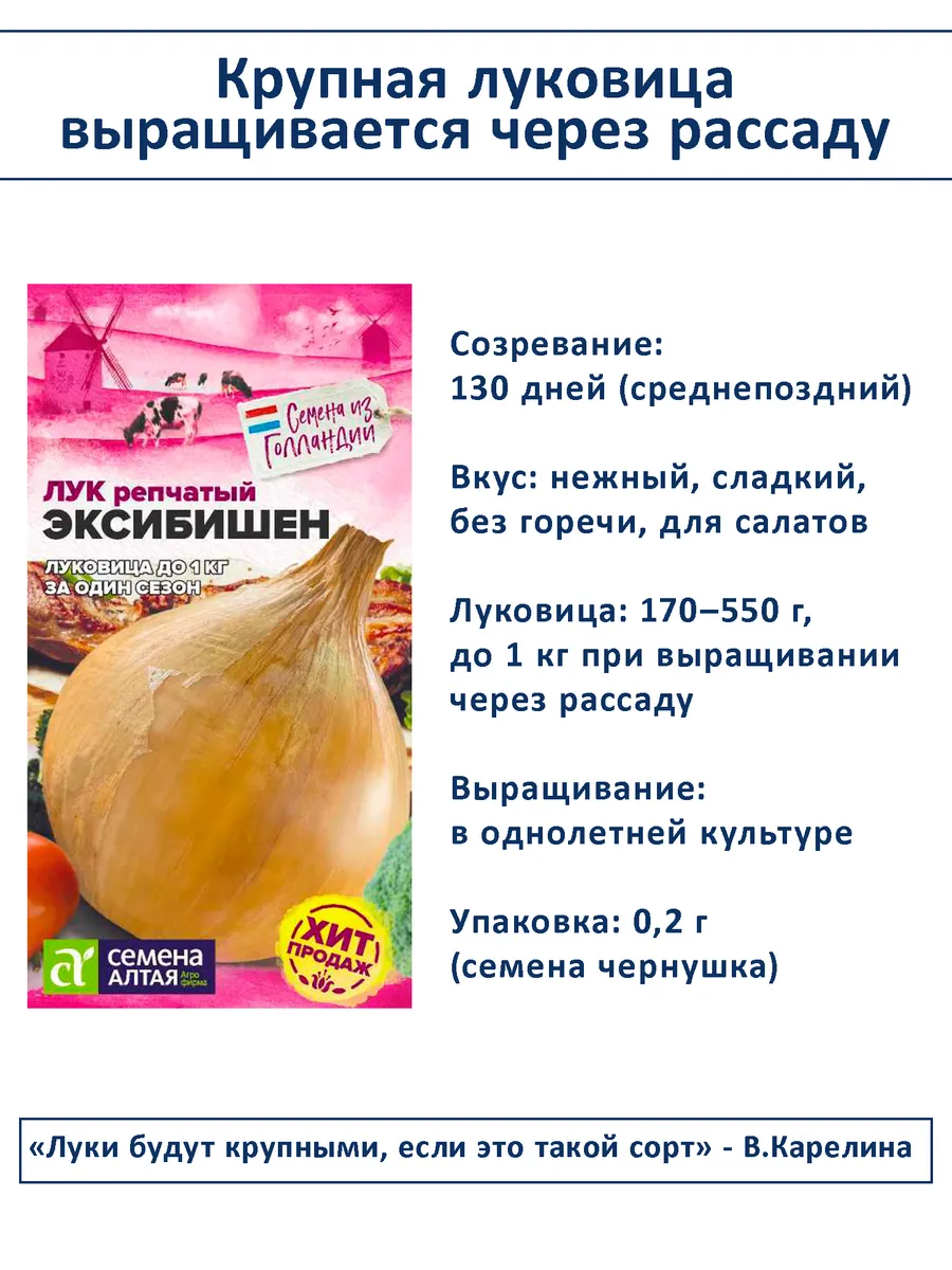 Семена лука Эксибишен сладкого для салата и грунта 2 шт