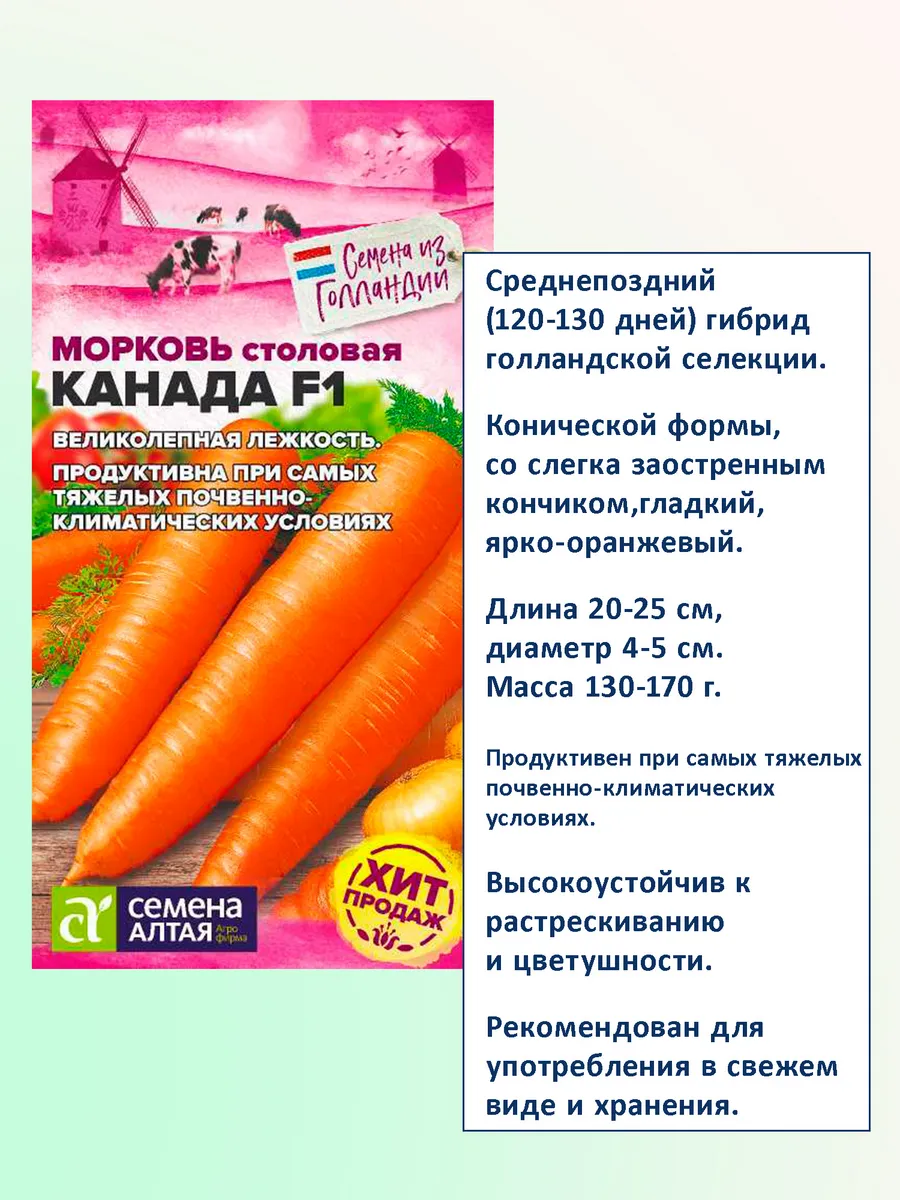 Семена моркови Канада F1 — набор 2 пакета