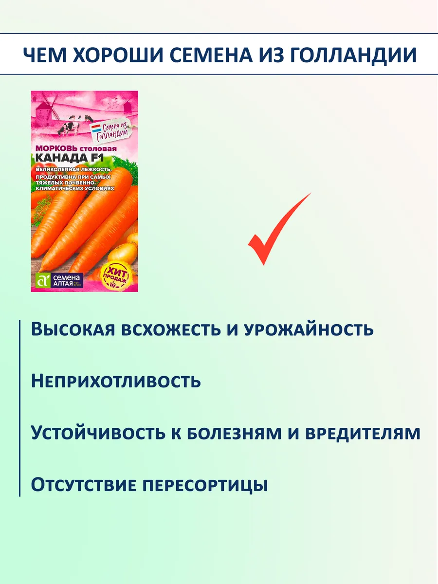 Семена моркови Канада F1 — набор 2 пакета